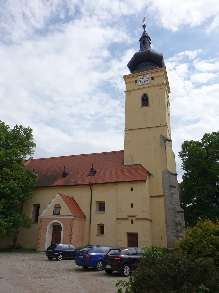 Netolice, Pfarrkirche St. Wenzel, erbaut im 13. Jahrhundert, barock umgestaltet im 18. Jahrhundert (25.05.2019)