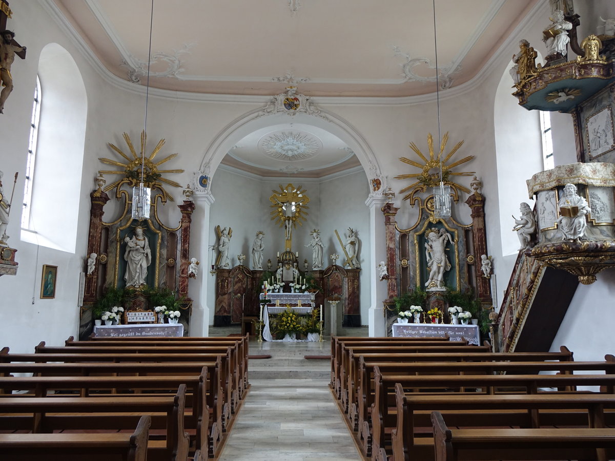 Neubrunn, barocker Innenraum der St. Andreas Kirche (26.03.2016)