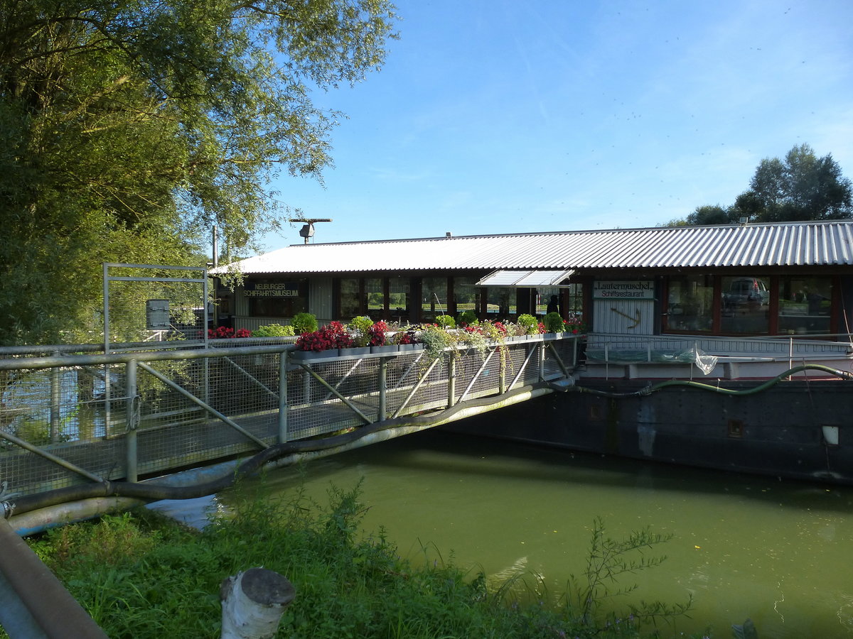 Neuburg am Rhein, Schifffahrtsmuseum und Restaurant in der  Lautermuschel , einem ehemaligen Frachtkahn, festgemacht an der Mndung der Lauter in den Rhein, Sept.2017