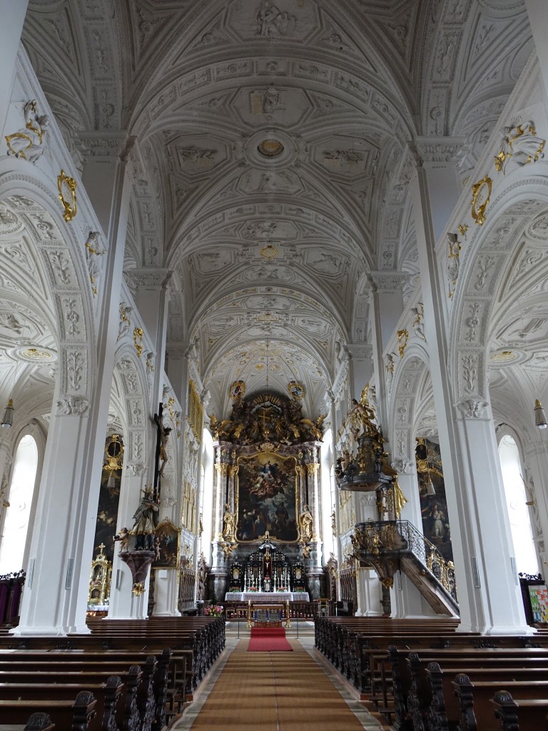 Neuburg, Hofkirche St. Maria, dreischiffige frhbarocke Hallenkirche mit Emporen, erbaut von 1607 bis 1627 durch Gilg Vltin (23.08.2015)