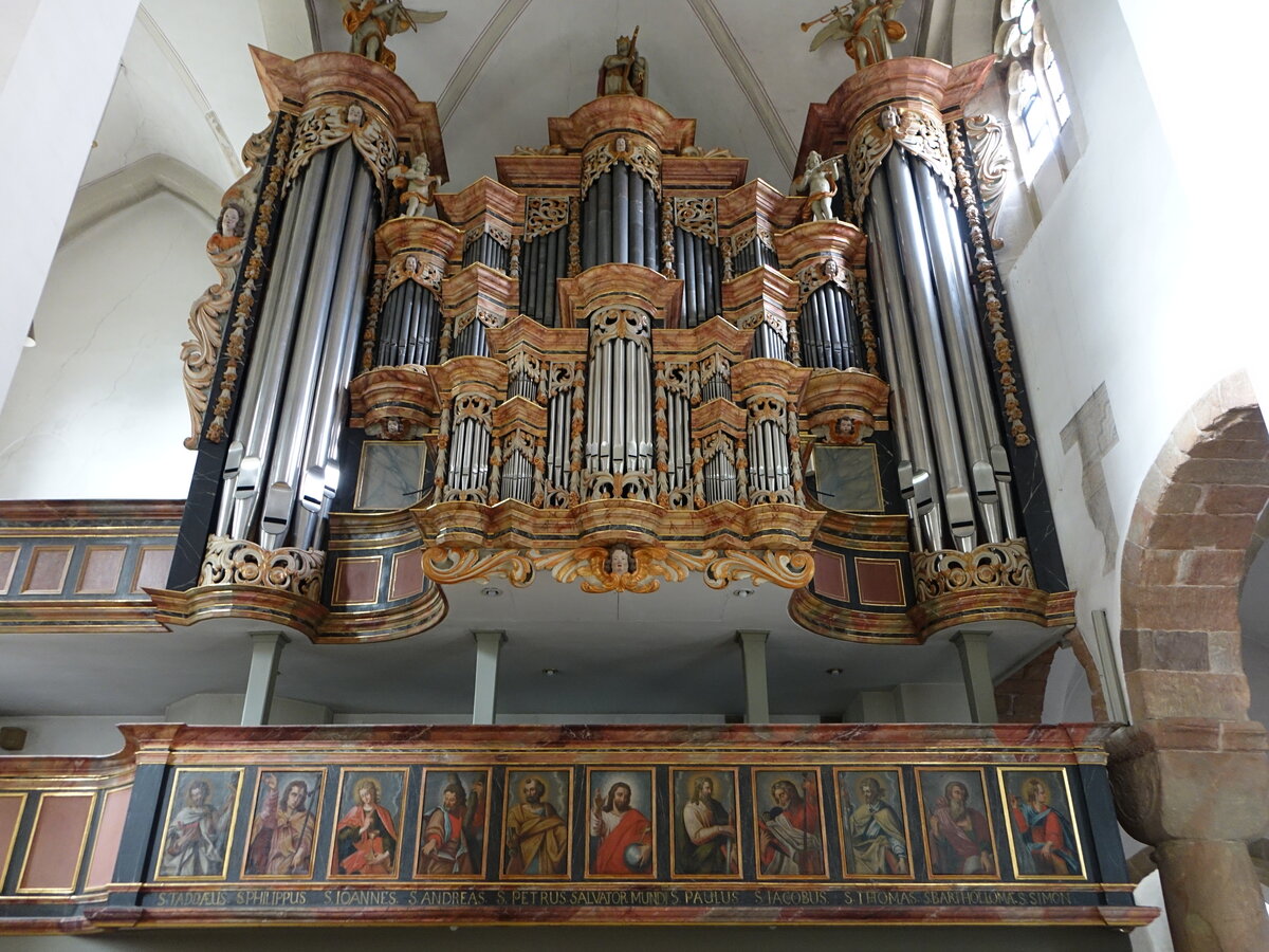 Neuenheerse, Gebr. Reinecke Orgel von 1713 in der Stiftskirche St. Saturnina (05.10.2021)