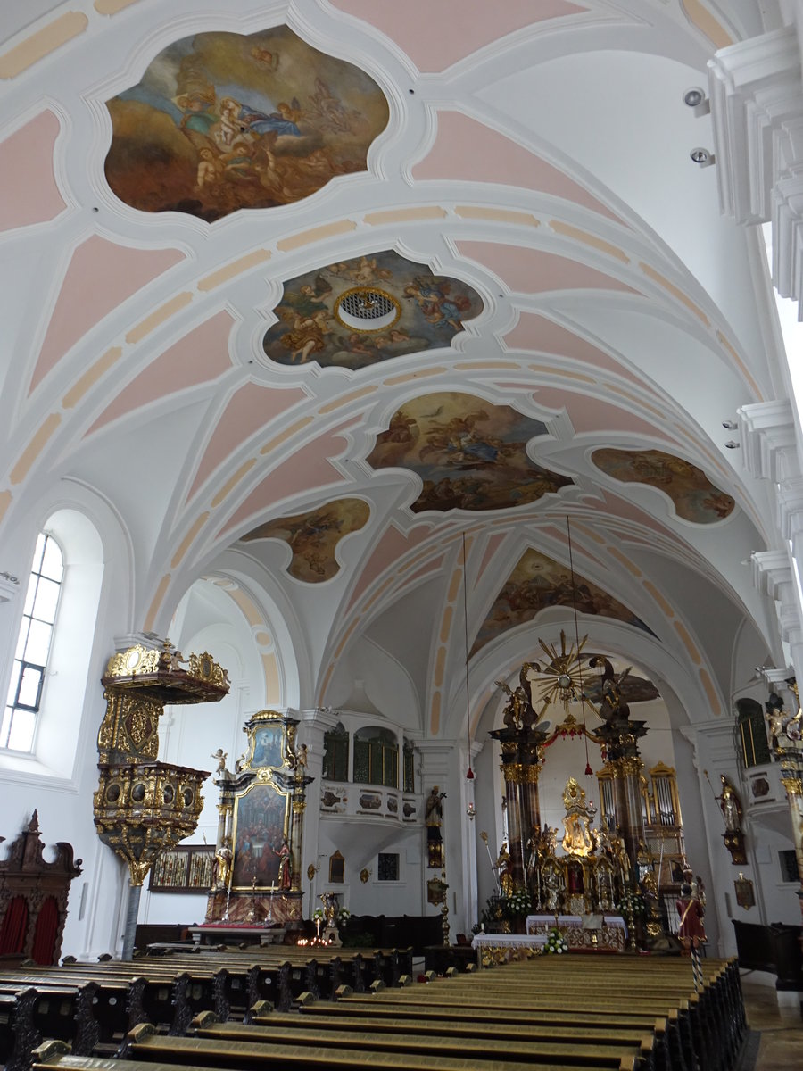 Neukirchen beim Heiligen Blut, barocker Innenraum der Wallf. Kirche Maria Geburt (05.11.2017)