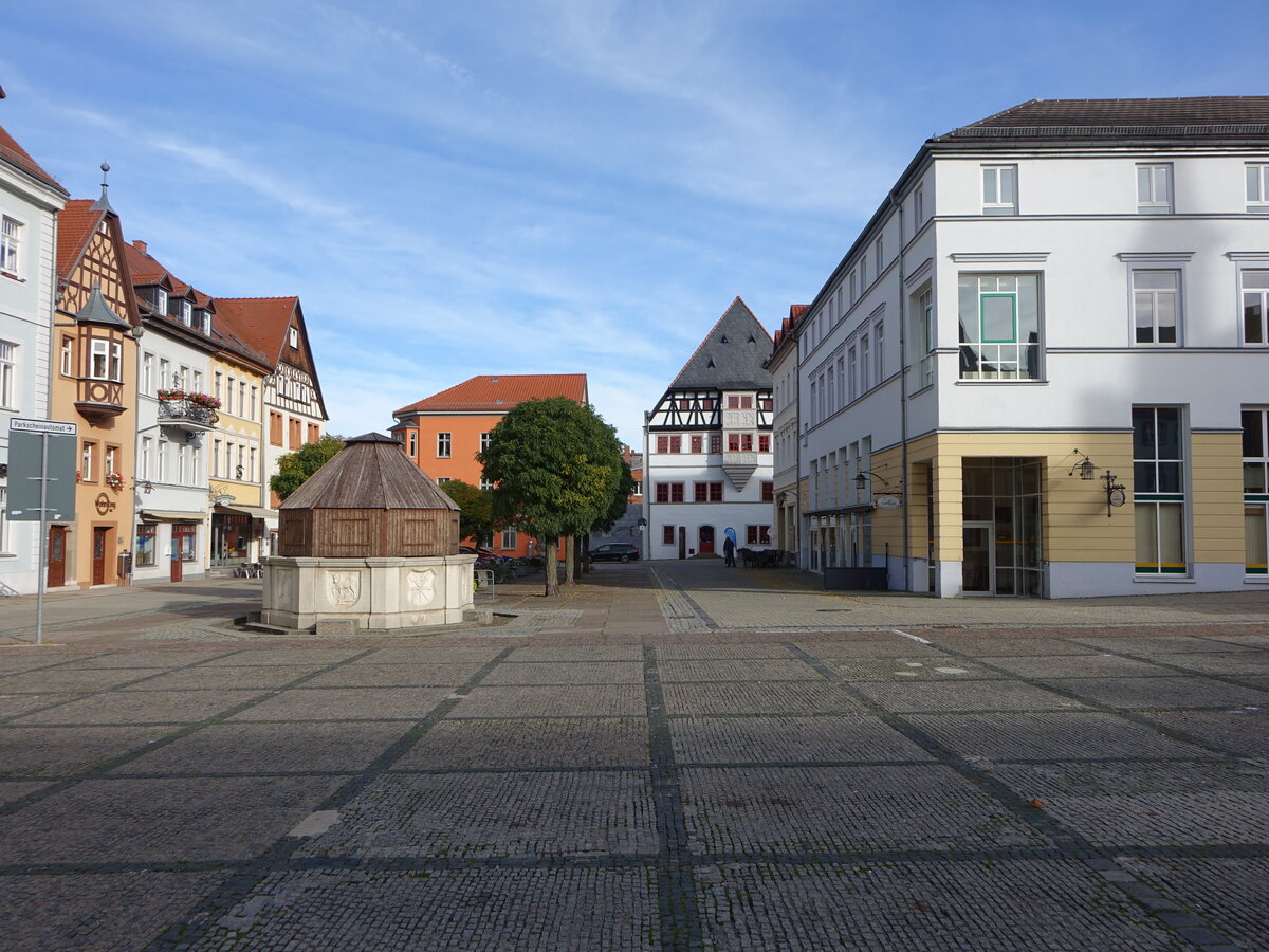 Neustadt an der Orla, Brunnen und Huser am Markt (20.10.2022)