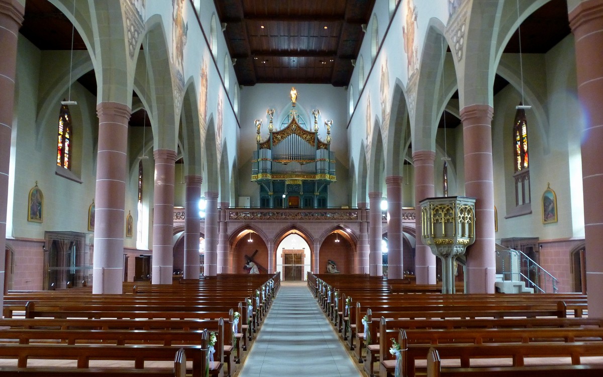 Neustadt, Blick zur Orgelempore im St.Jakobusmünster, Juli 2015