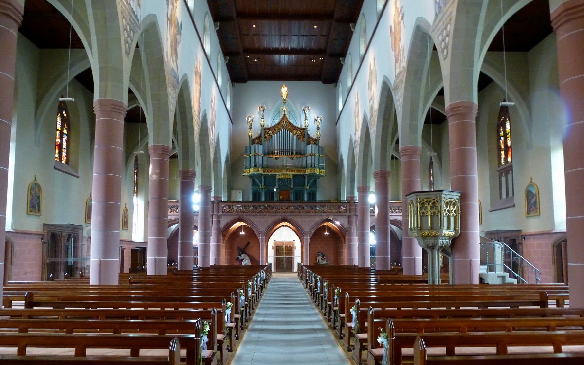 Neustadt, Blick zur Orgelempore im St.Jakobusmnster, Juli 2015