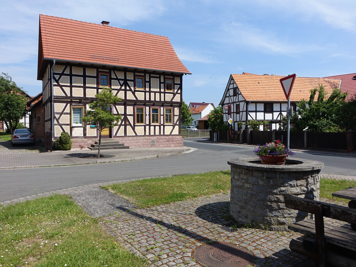 Neustdt, Fachwerkhuser und Brunnen in der Bienengasse (03.06.2022)