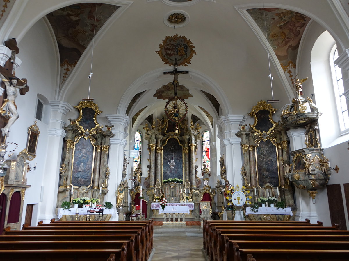Niedermurach, Rokoko Innenraum der kath. Pfarrkirche St. Martin (04.06.2017)