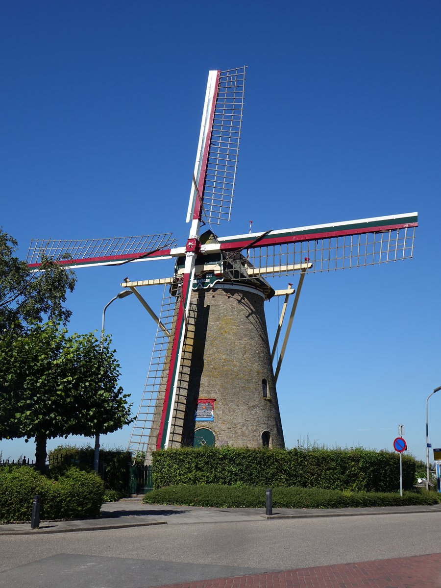 Nieuwe Tonge, Windmühle de Oranjeboom von 1768 (24.08.2016) 