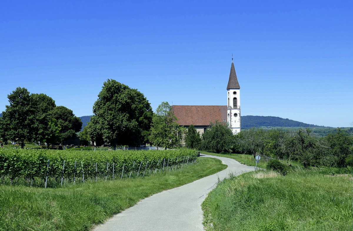 Nimburg, die Bergkirche steht auerhalb des Ortes auf dem Nimberg, Juni 2020
