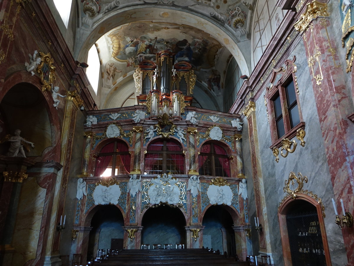 Nitra, Orgelempore in der Pfarrkirche St. Emmeran, erbaut von 1710 bis 1718 durch Domenico Martinelli (28.08.2019)