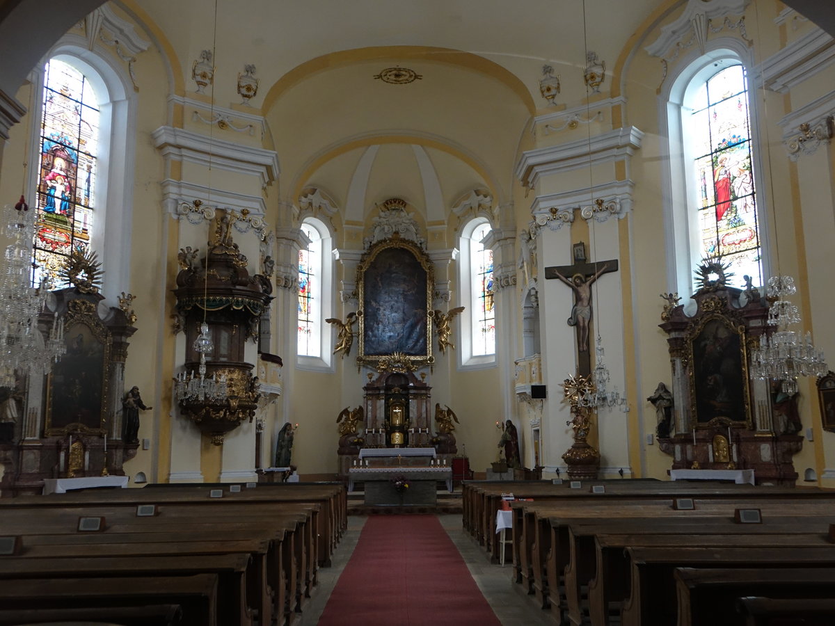 Novy Bor / Haida, barocker Innenraum der Pfarrkirche Maria Himmelfahrt (27.09.2019)