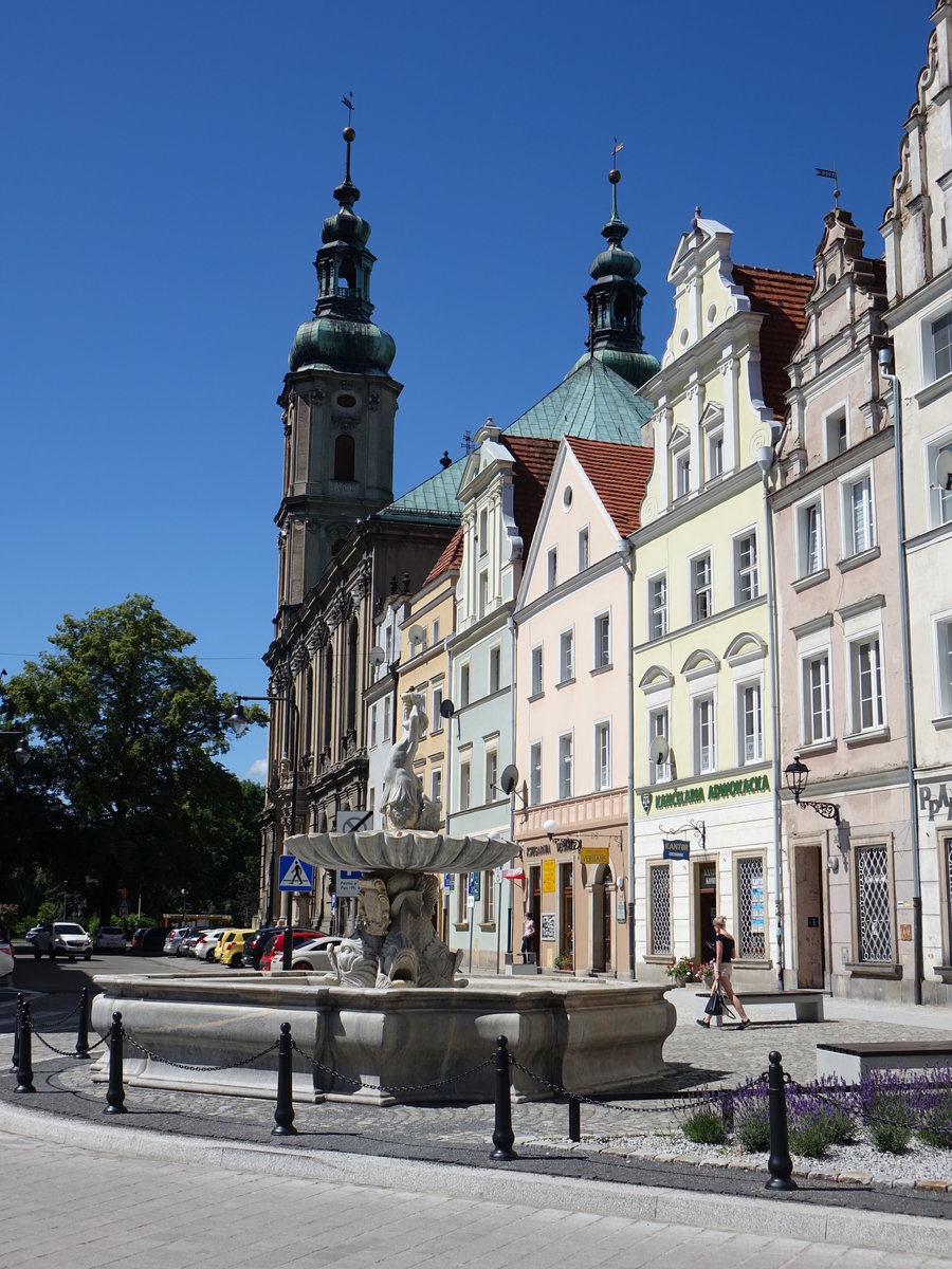 Nysa / Neisse, Gebude und St. Peter und Paul Kirche in der Bracka Strae (01.07.2020)