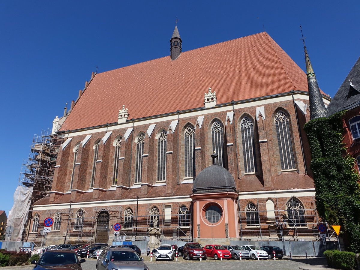 Nysa / Neisse, Pfarrkirche St. Jakobus, dreischiffige Hallenkirche, erbaut von 1392 bis 1439 (01.07.2020)