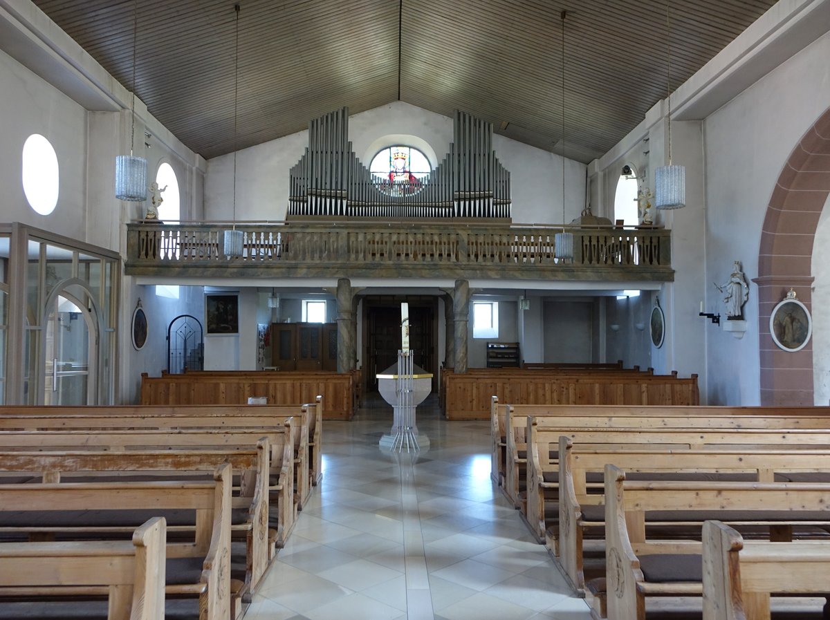 Oberbach, Orgelempore in der kath. Pfarrkirche Maria Himmelfahrt (08.07.2018)