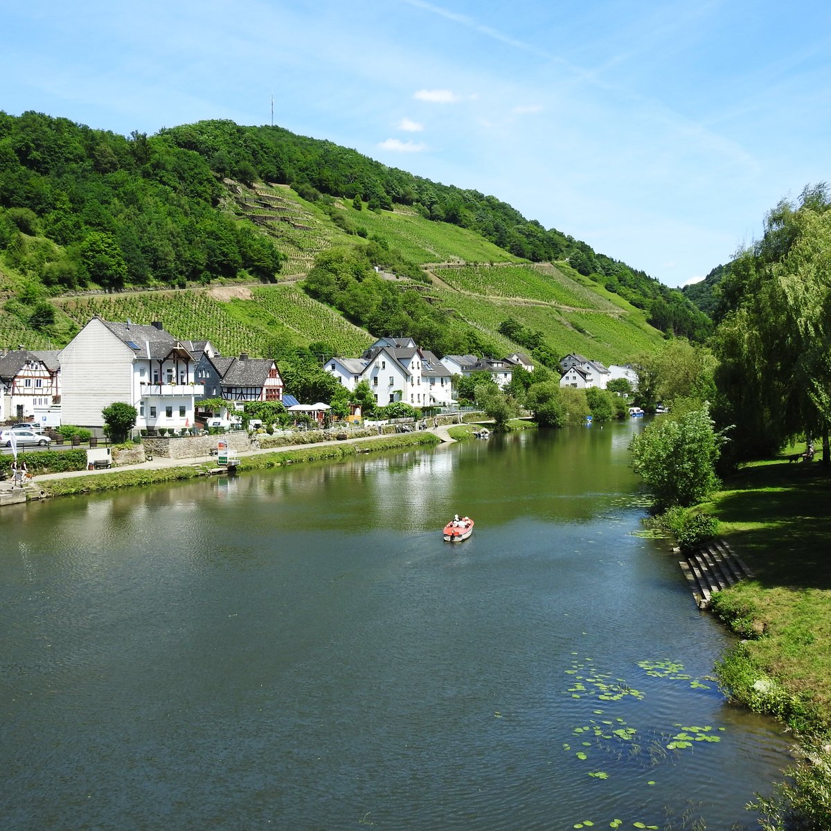 OBERNHOF/LAHN-WEINBERGE BER DER LAHN
Als eine der wenigen noch verbliebenen Weinbau-Gemeinden an der LAHN und zum Weinanbaugebiet
Mittelrhein gehrend,werden an den Hngen ber OBERNHOF Sptburgunder,Regent und Rieslingweine
angebaut...hier am 12.6.2017