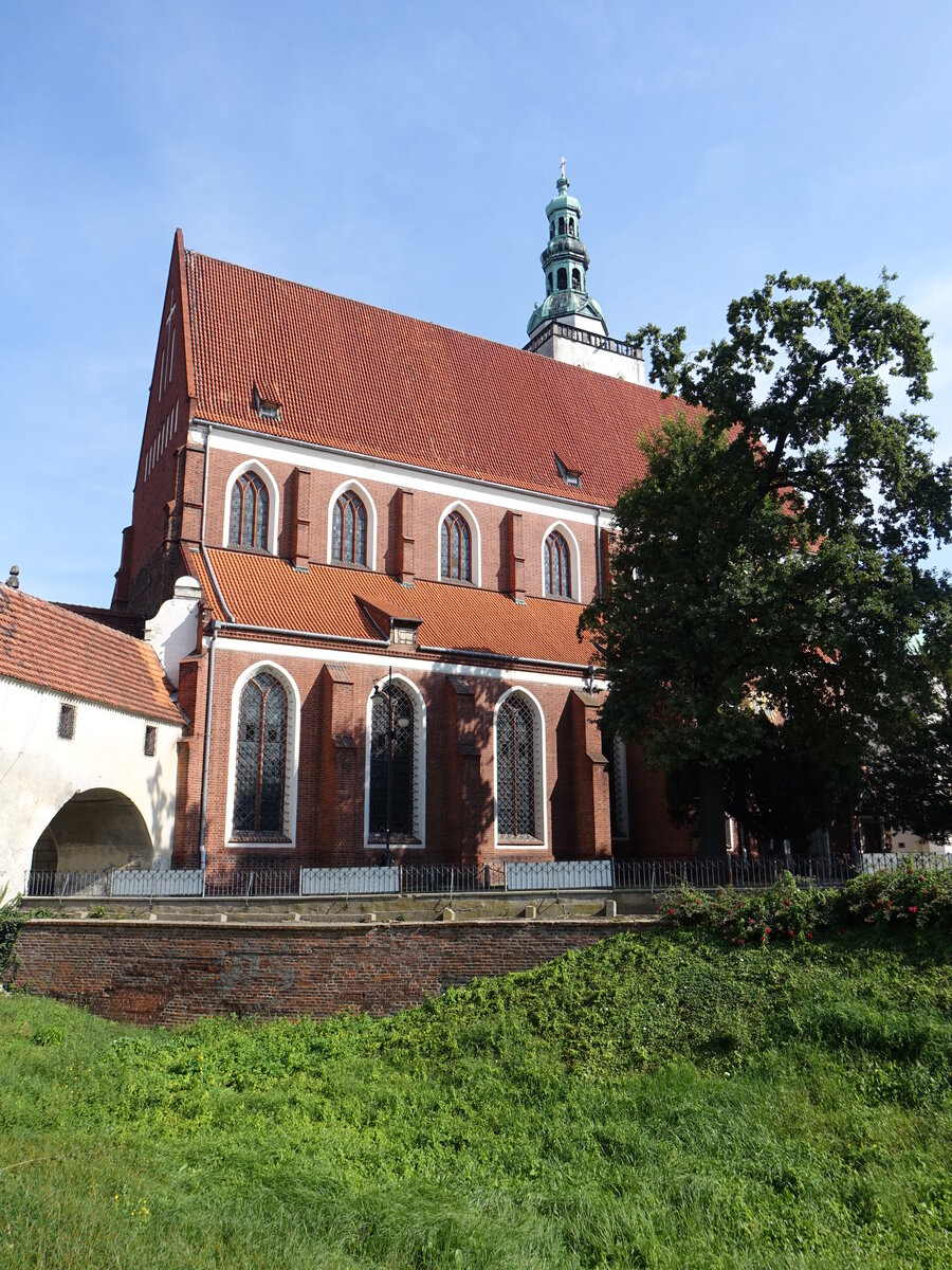 Olesnica / Oels, Schlokirche St. Johannes, dreischiffige gotische Basilika, erbaut im 13. Jahrhundert (15.09.2021)