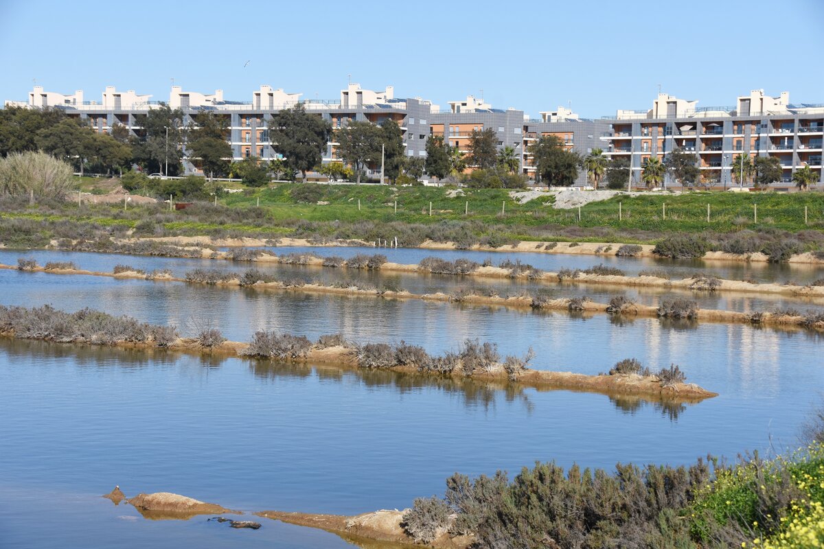 OLHO (Concelho de Olho), 18.02.2020, Blick aus der Lagune auf den Neubaukomplex am Ende der Avenida 5 de Outubro