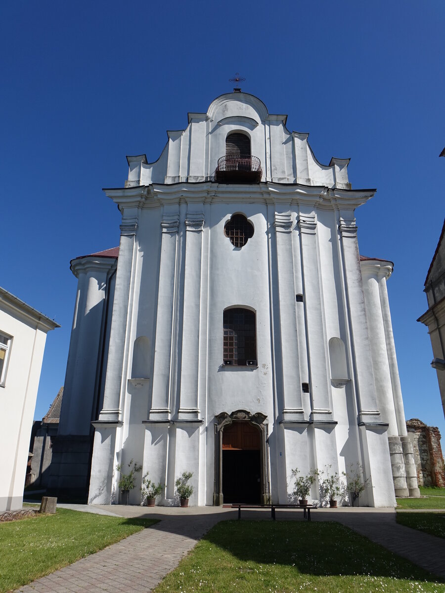 Opactwo, Klosterkirche Maria Himmelfahrt, erbaut von 1739 bis 1770 durch J. Gringenberger (14.06.2021)