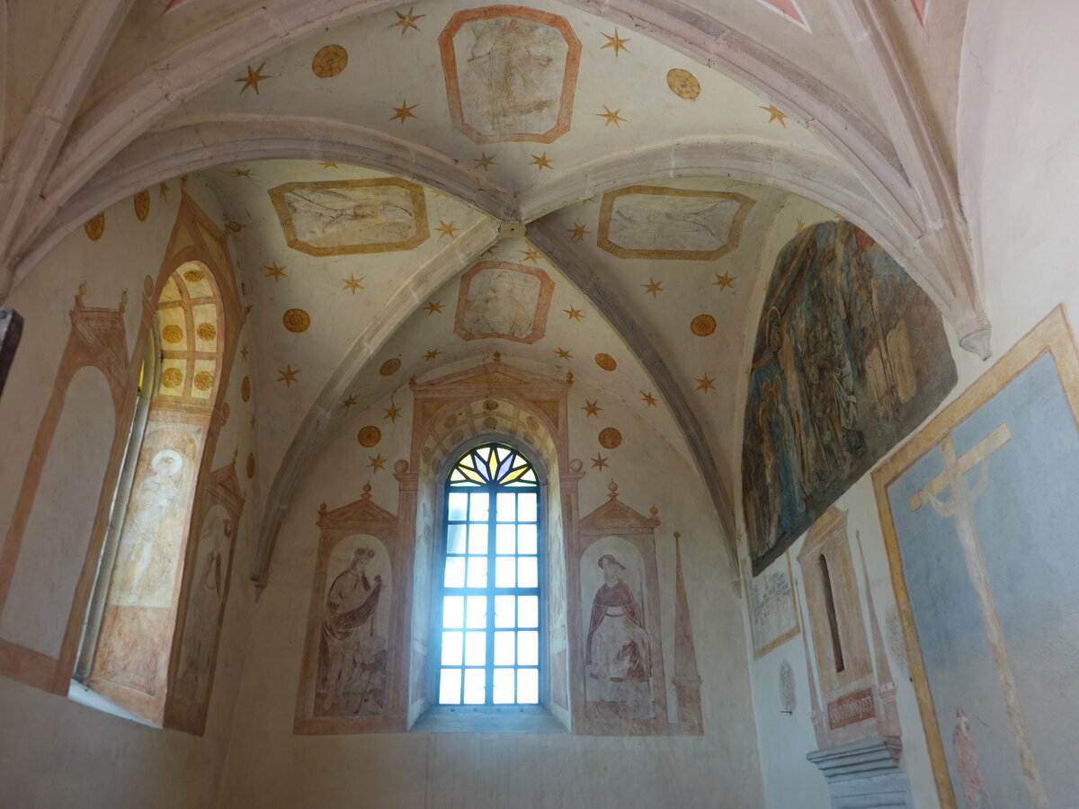 Opatow, gotische Fresken in der St. Martin Kirche (18.06.2021)