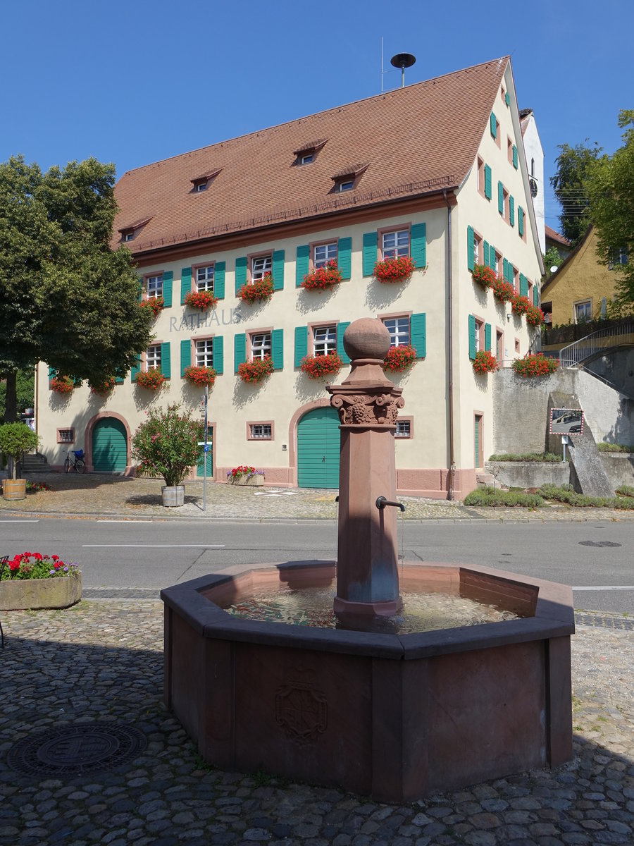 Opfingen, Brunnen und altes Rathaus am Marktplatz (15.08.2016)