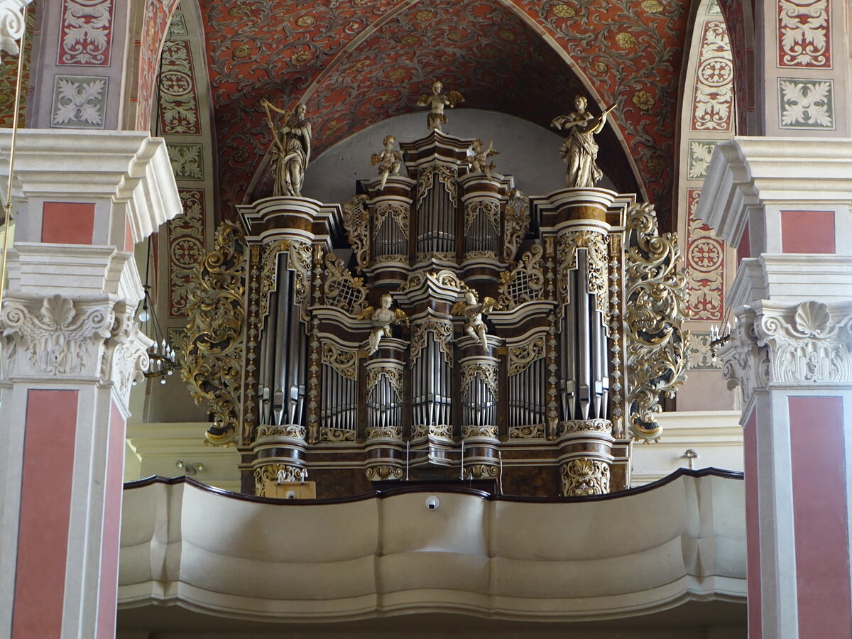 Opole / Oppeln, Orgelempore in der Franziskanerkirche Hl. Dreifaltigkeit (19.06.2021)