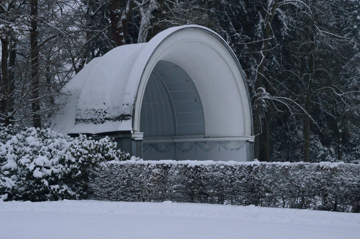 Orchestermuschel im grflichen Park in Bad Driburg.
Hier ist sie im Schnee am 26.1.2014 zu sehen. 