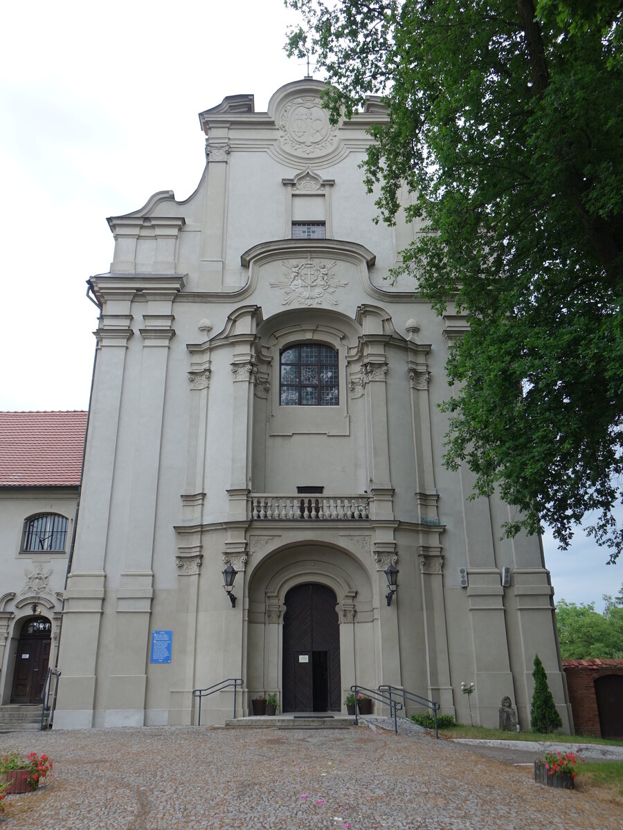 Osieczna / Storchnest, barocke Franziskanerkirche, erbaut von 1729 bis 1733 durch P. Ferrari (12.06.2021)