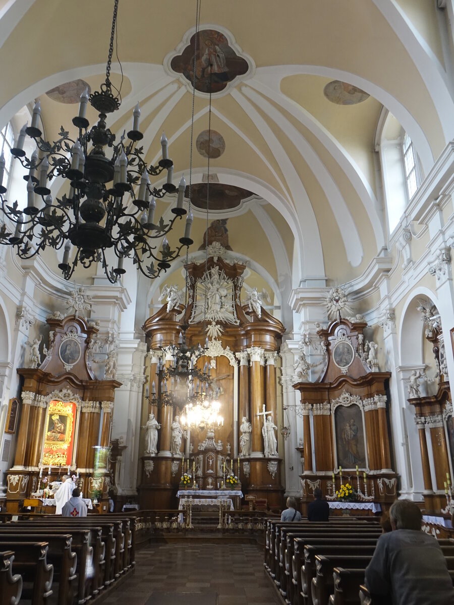 Osieczna / Storchnest, barocker Innenraum der Franziskanerkirche (12.06.2021)