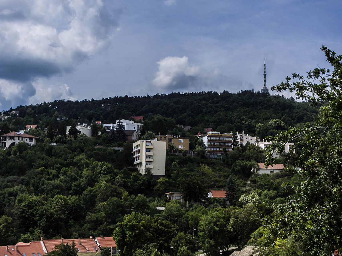 Pécs mit einem Teil des Mecsek Berges. Im Hintergrund ist der TV-Turm zu sehen. Nach einem 20-30 minutigen Spaziergang vom Hauptplatz kommt man schon ins Grüne. (Stand April 2016)