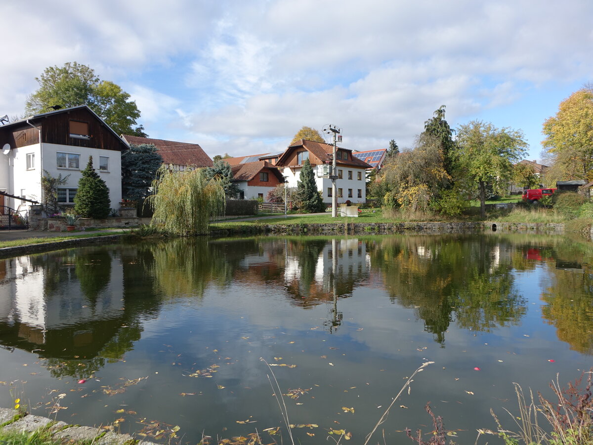 Pahnstangen, Huser am Dorfteich in der Ortsmitte (19.10.2022)