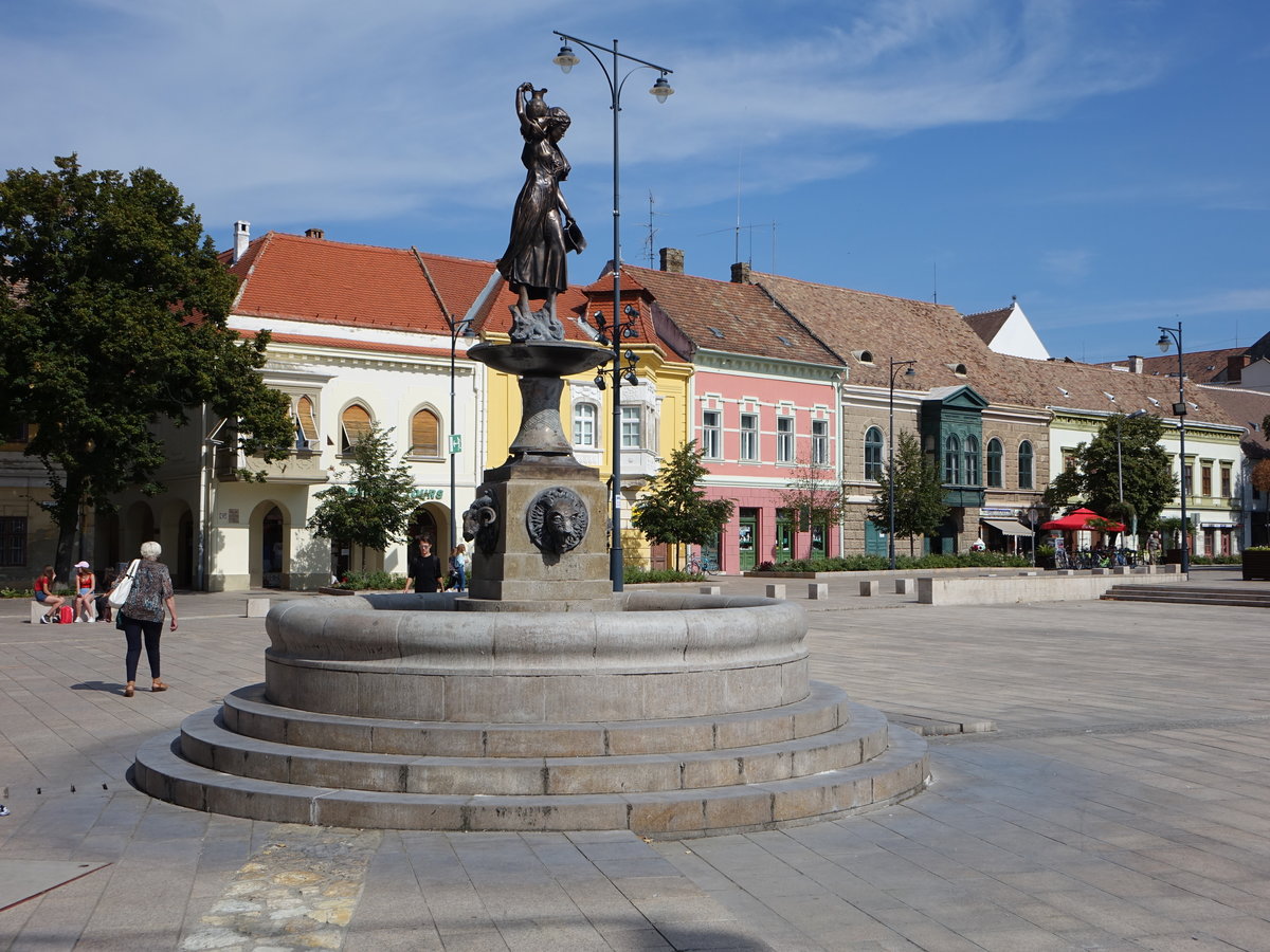 Papa, historischer Brunnen am Hauptplatz F Ter (27.08.2018)