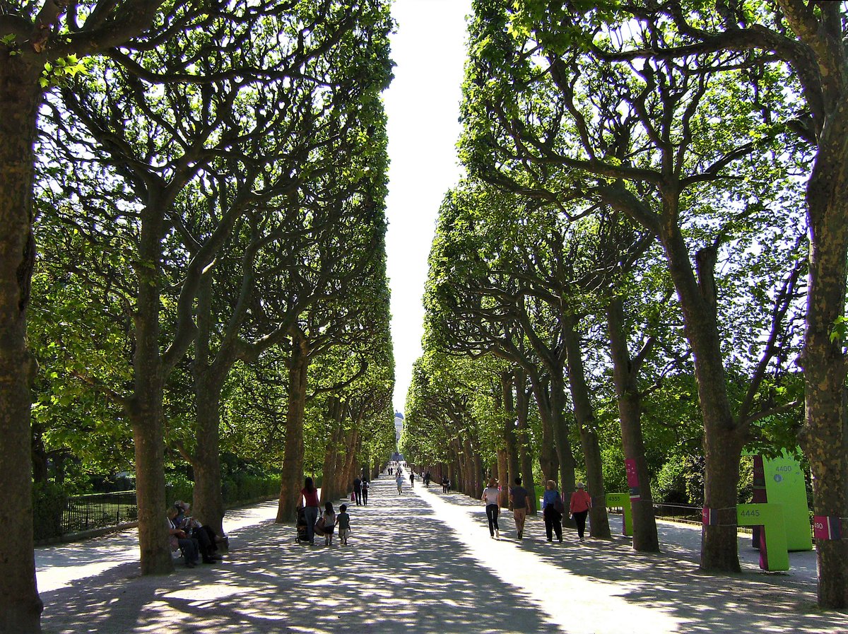 Paris, 5. Arrondissement. Jardin des Plantes, la grande alle - 07.05.2008