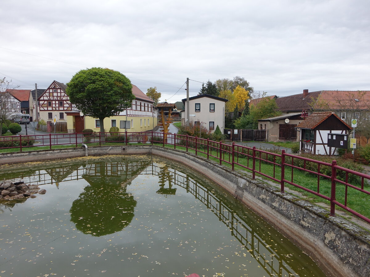 Paska, Huser am Dorfweiher an der Ortsstrae (18.10.2022)