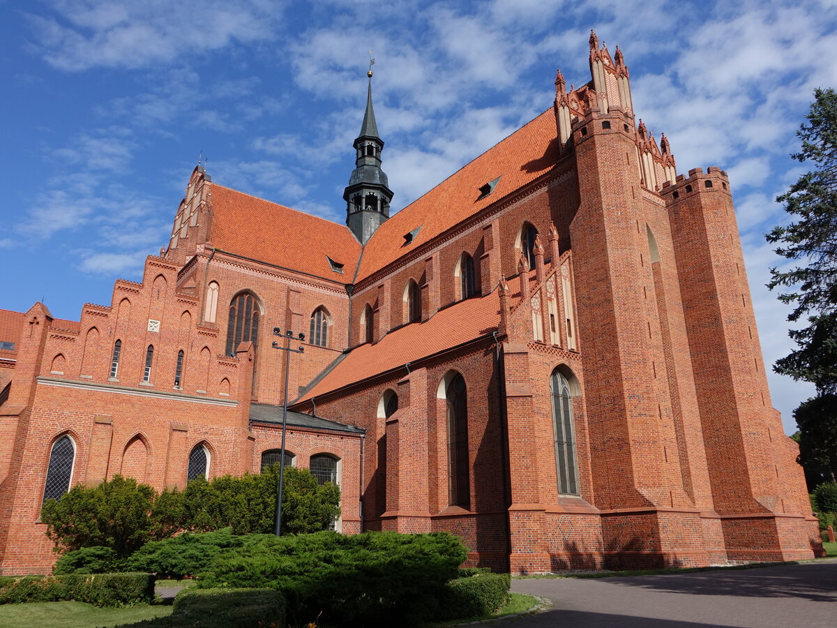 Pelplin, Zisterzienserkirche Maria Himmelfahrt,  Querschiff mit zwei Jochen, erbaut ab 1289 (03.08.2021)
