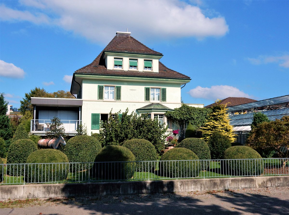 Pfffikon ZH, Rigistrasse 29, Villa “Sunn Matt” mit schne Buchsbume - 06.10.2014