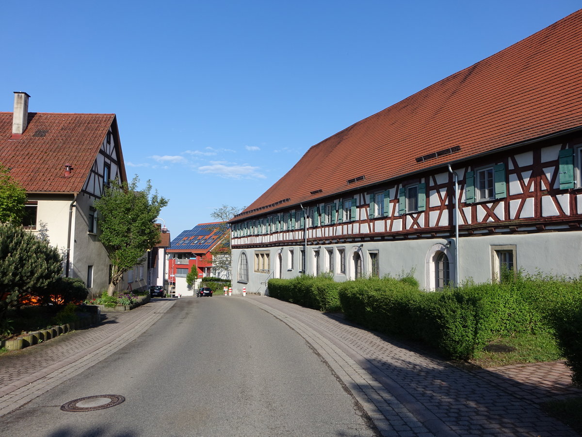 Pfedelbach, Langer Bau mit Weinbeumuseum, erbaut 1604, der Herrenkeller unter dem Bau ist 70 m lang, 12 m breit und gro genug, um darin mehrere hunderttausend Liter Wein zu lagern (29.04.2018)