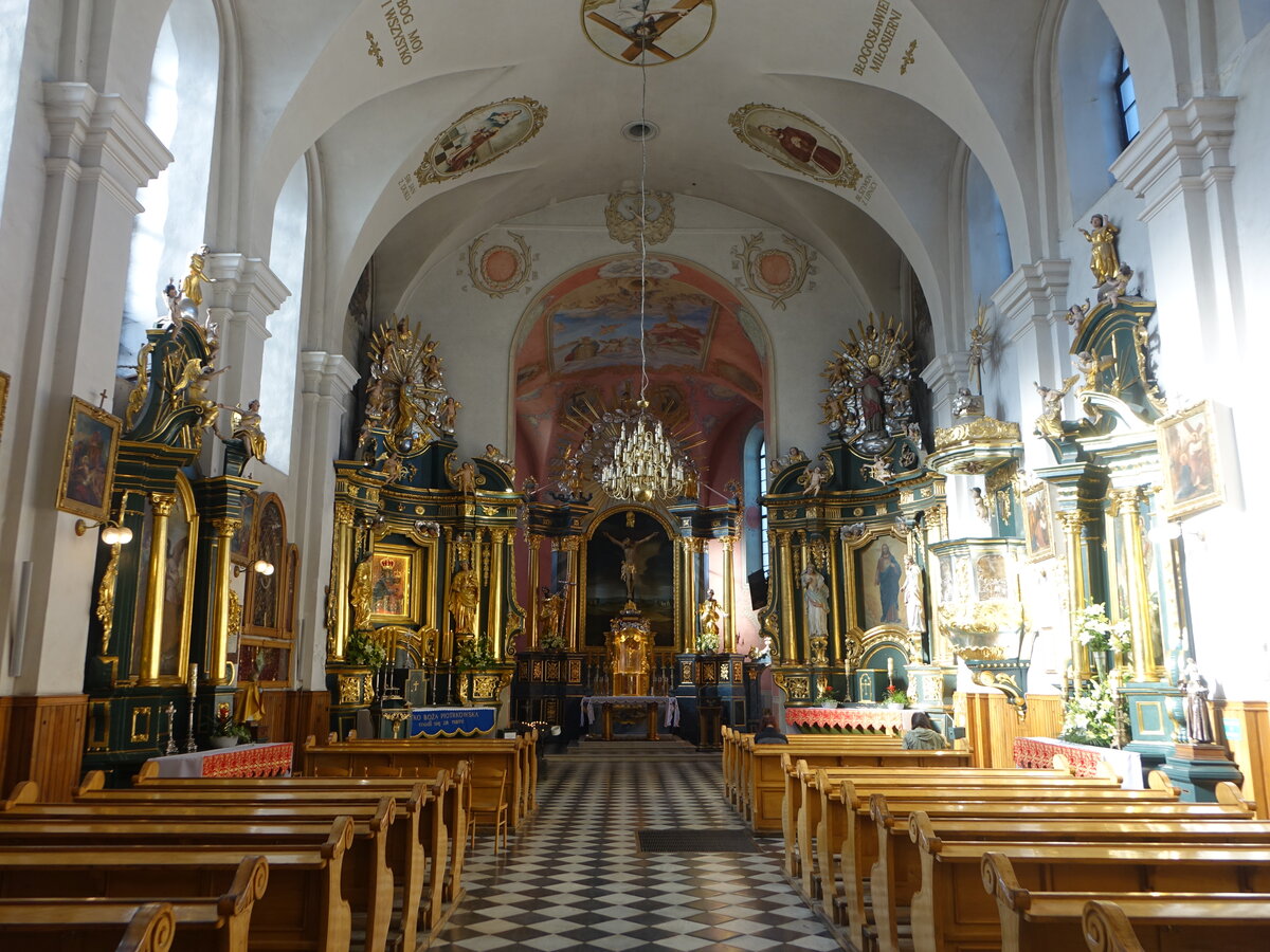 Piotrkow Trybunalski / Petrikau, barocker Innenraum der Jesuitenkirche (14.06.2021)