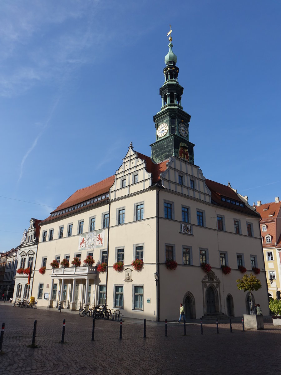Pirna, Renaissance Rathaus am Markt, erbaut ab 1386 (02.10.2020)