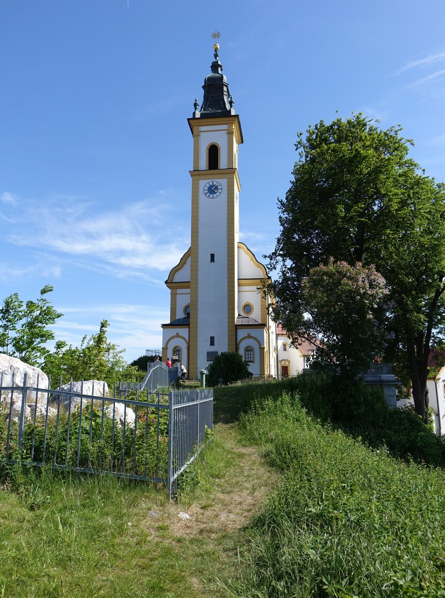 Pleystein, Wallfahrtskirche Hl. Kreuz, Saalkirche mit Steildach und halbrund geschlossenem Chor, schlanker Turm nach Norden mit Glockenhaube, erbaut 1902 durch  Heinrich Hauberrisser und Joseph Koch (20.05.2018)