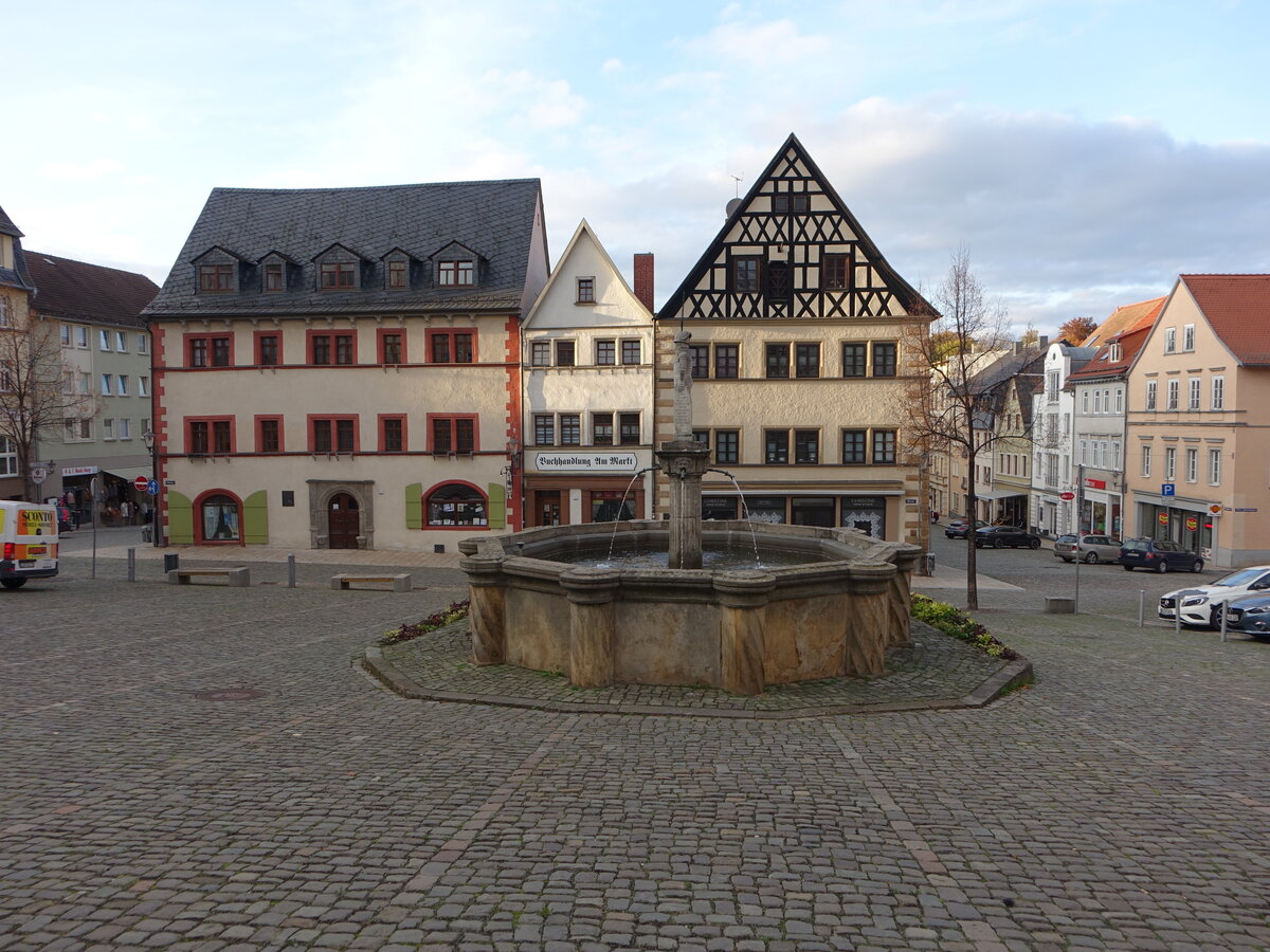 Pneck, Marktbrunnen und Huser am Markt (19.10.2022)