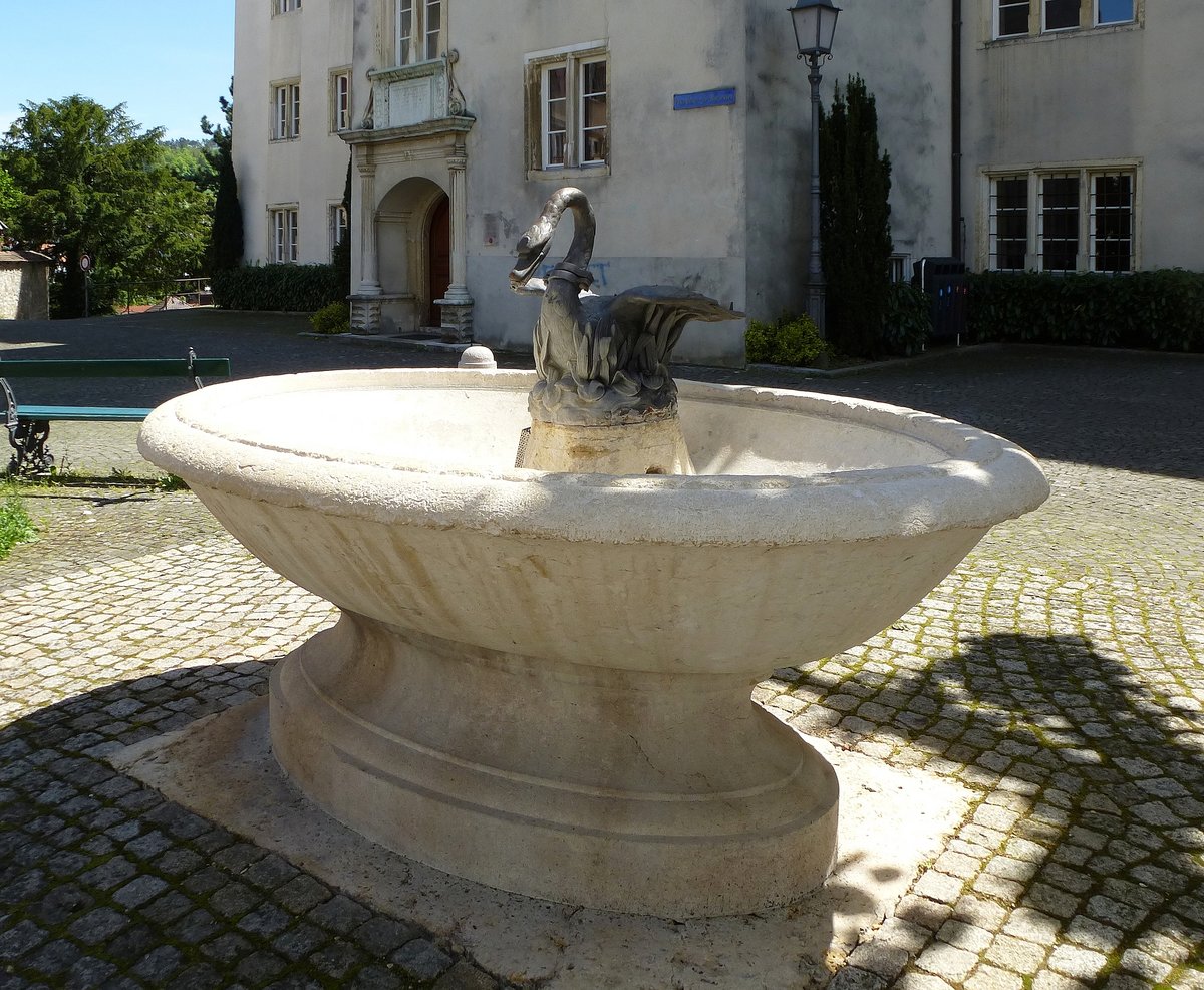 Porrentruy, Brunnen am Platz vor dem ehemaligen Jesuitenkollegium, Mai 2017