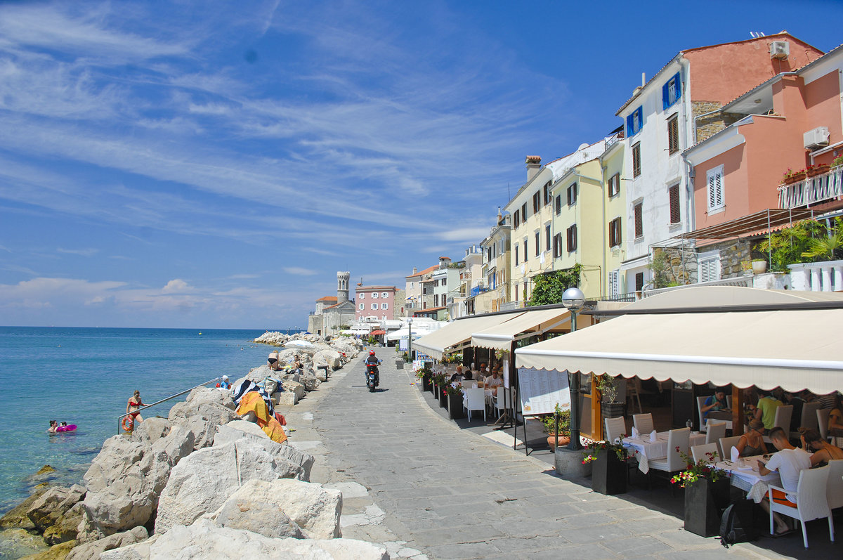 Preernovo nabreje in Piran. Aufnahme: 26. Juli 2016.