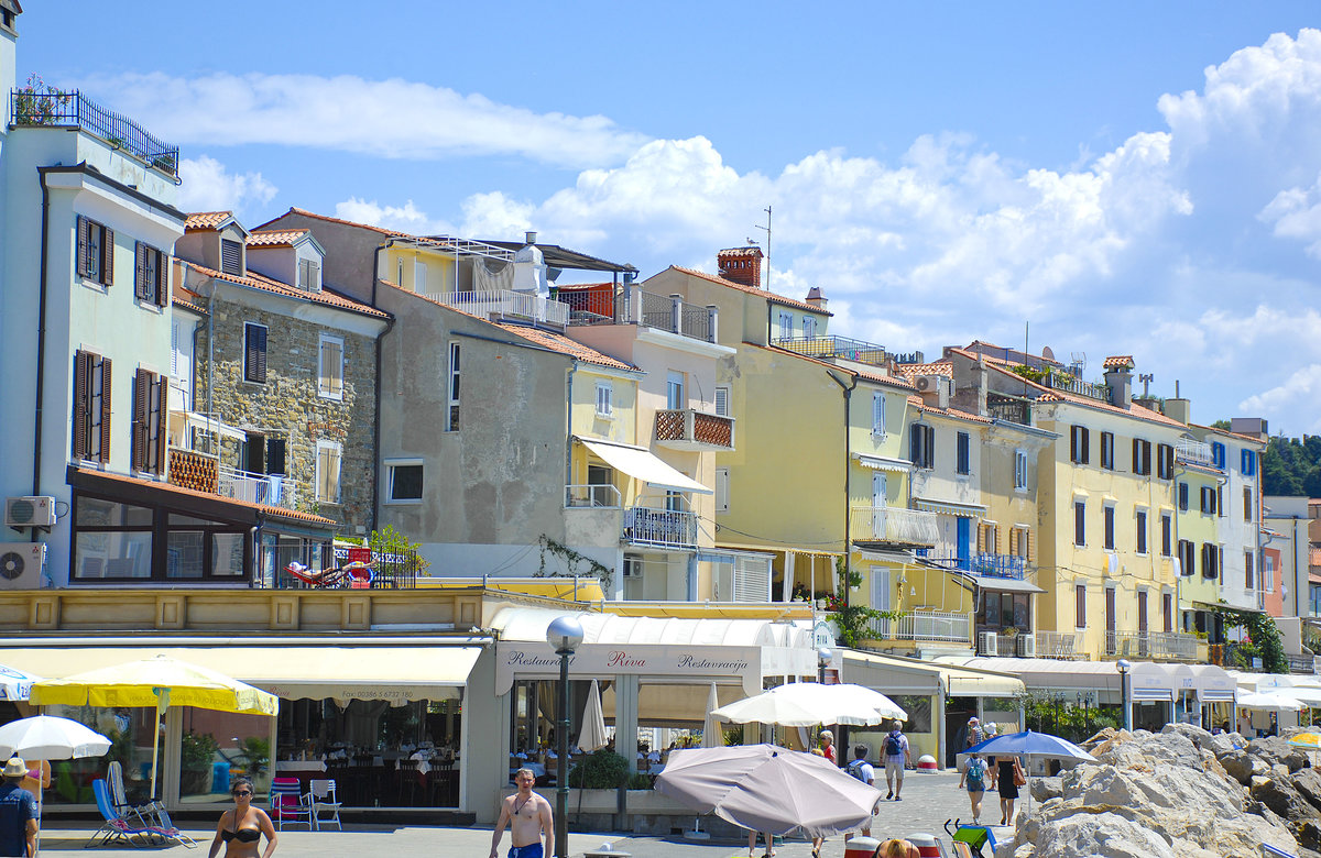 Preernovo nabreje in Piran. Aufnahme: 26. Juli 2016.