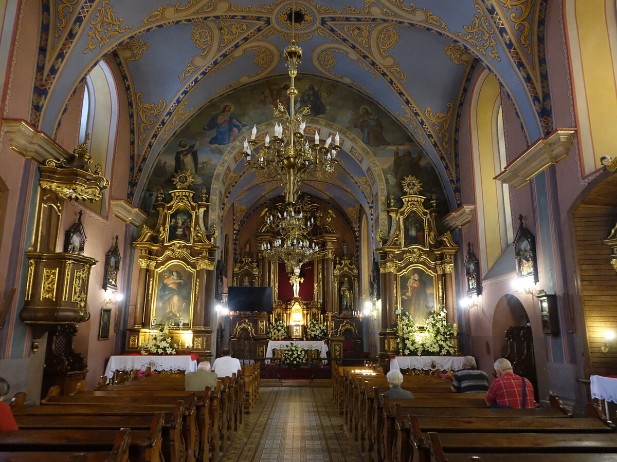 Przemysl, barocker Innenraum der St. Antonius Kirche (17.06.2021)