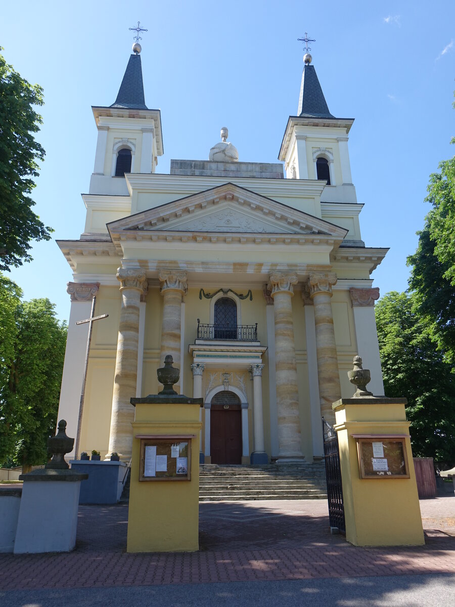 Przysucha, Pfarrkirche St. Johannes Nepomuk, erbaut 1786 (14.06.2021)