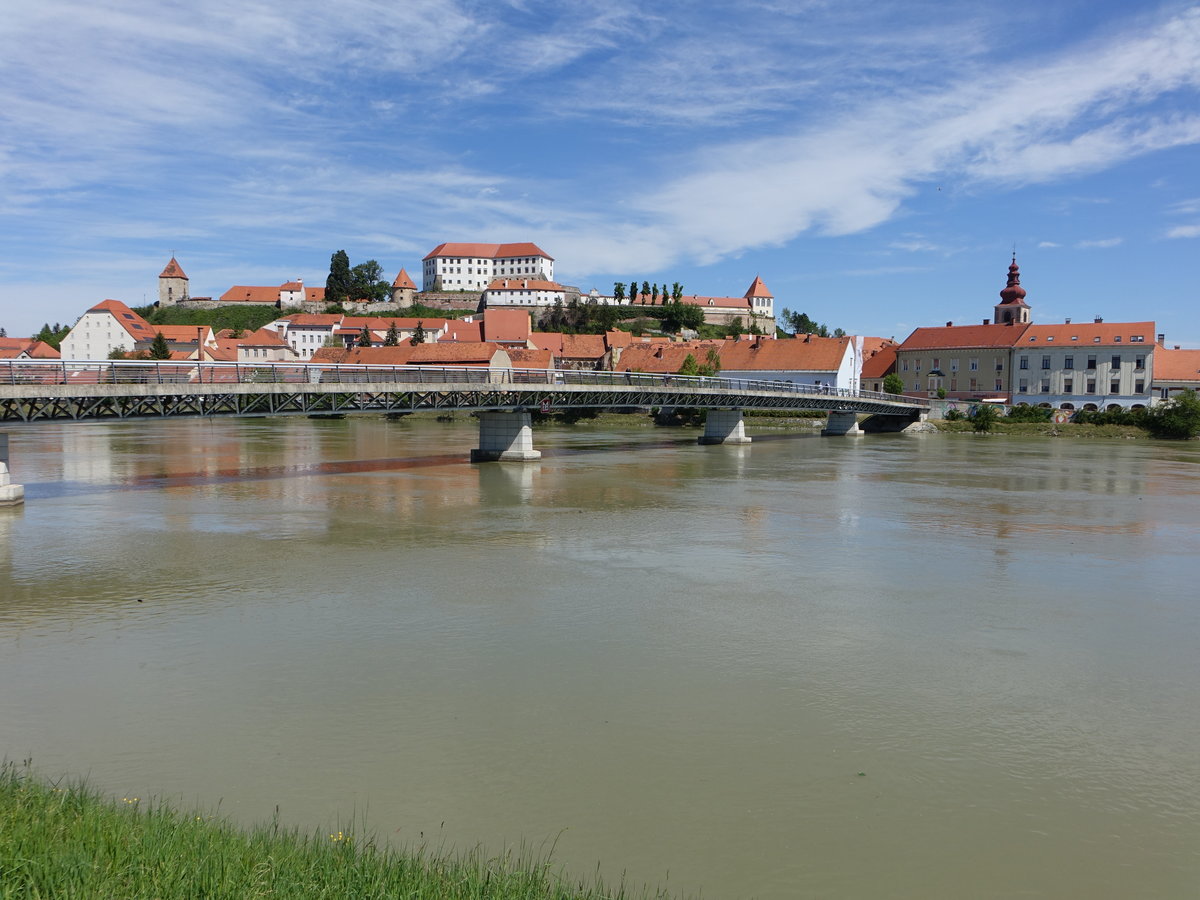 Ptuj, Ausblick ber die Drau auf die Altstadt mit Schloss (04.05.2017)