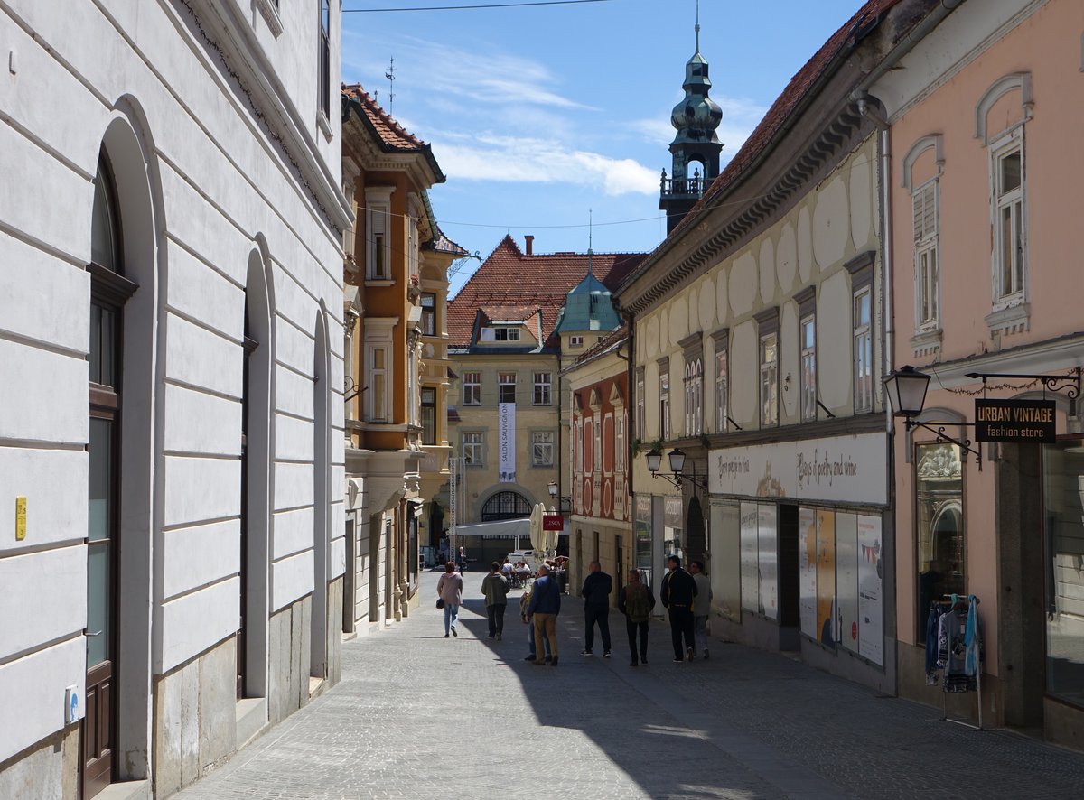 Ptuj, historische Gebude in der Murkova Strae (04.05.2017)