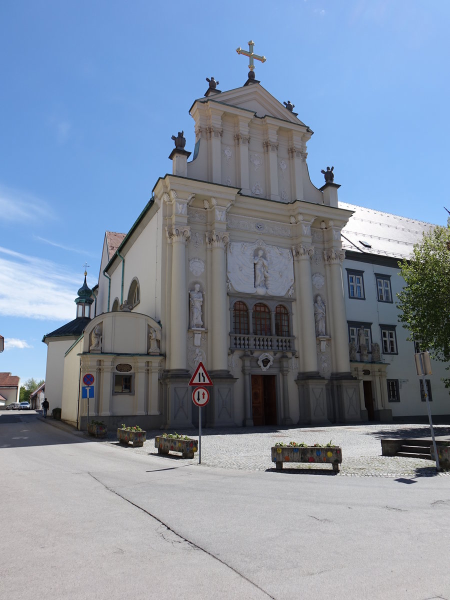 Ptuj, neubarocke Klosterkirche St. Peter und Paul, Wiederaufbau nach 1945 (04.05.2017)