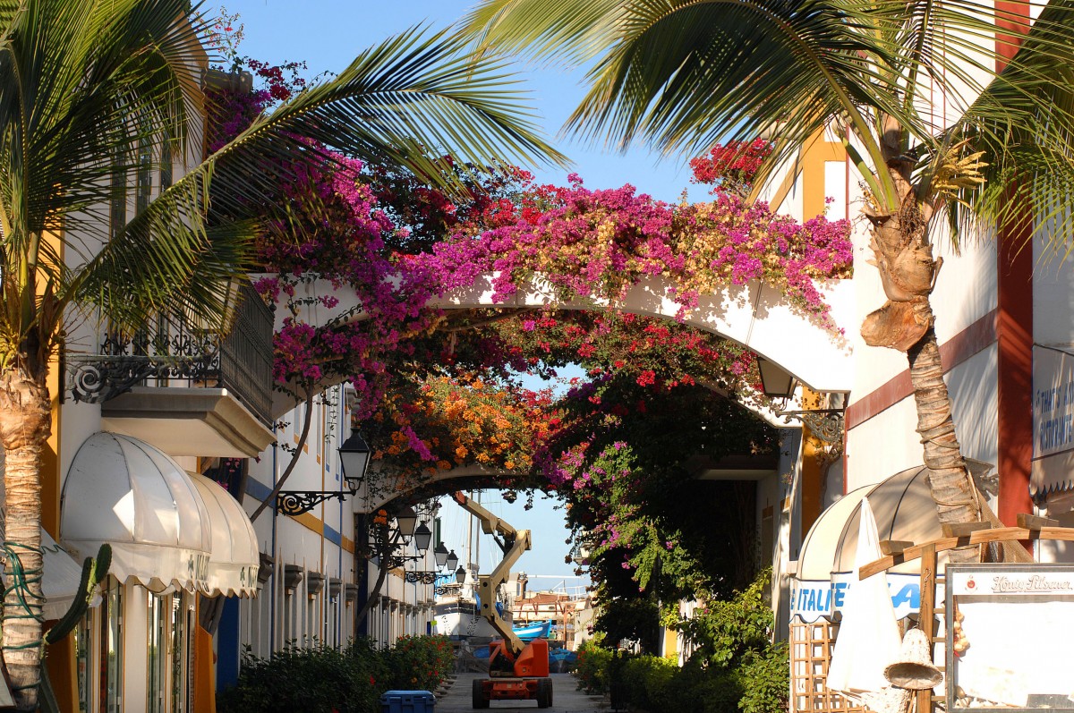 Puerto de Mogn - Gran Canaria. Aufnahme: Oktober 2009.