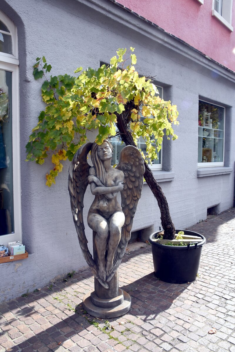 RADOLFZELL am Bodensee (Landkreis Konstanz), 16.10.2025, in der Radolfzeller Altstadt